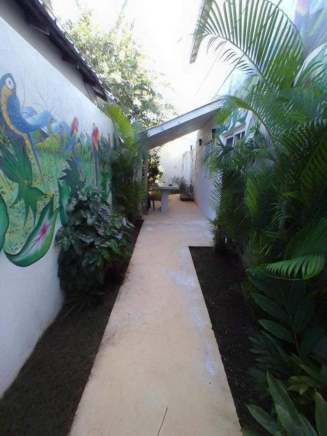 Beach Hotel Casa Nina Las Terrenas Exterior foto