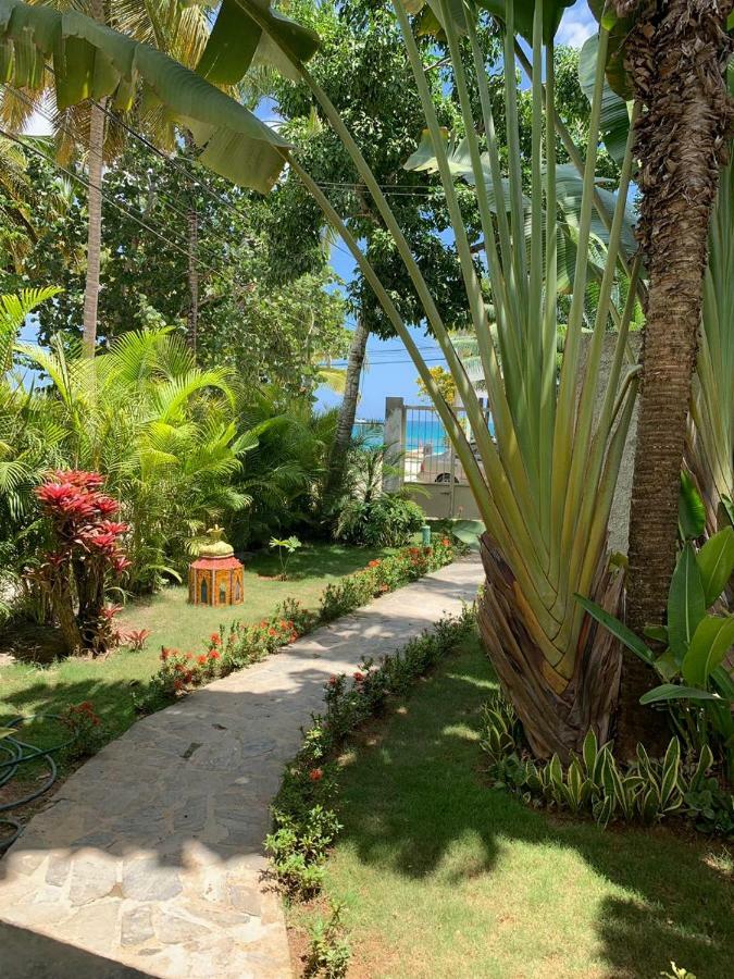 Beach Hotel Casa Nina Las Terrenas Exterior foto