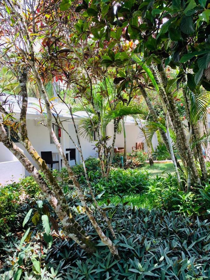 Beach Hotel Casa Nina Las Terrenas Exterior foto